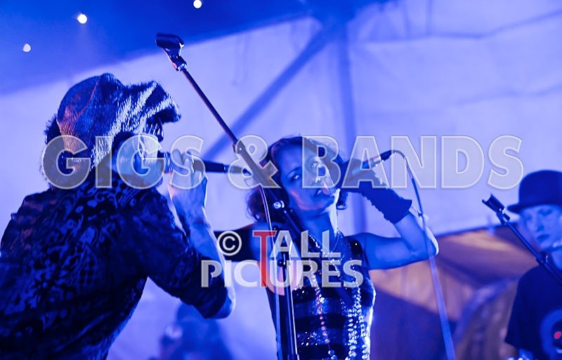 Vale-Earth-91 - VALE EARTH FAIR 2008