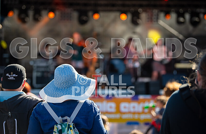 Vale Earth Fair 2020_THE SCENE-57 - VALE EARTH FAIR 2020_THE SCENE