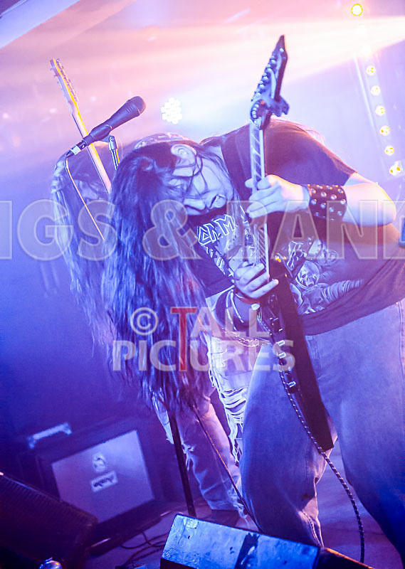 Stone Em All-273 - STONE EM ALL