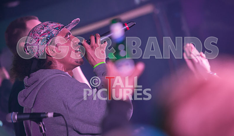 The Mouse Outfit-127 - THE MOUSE OUTFIT