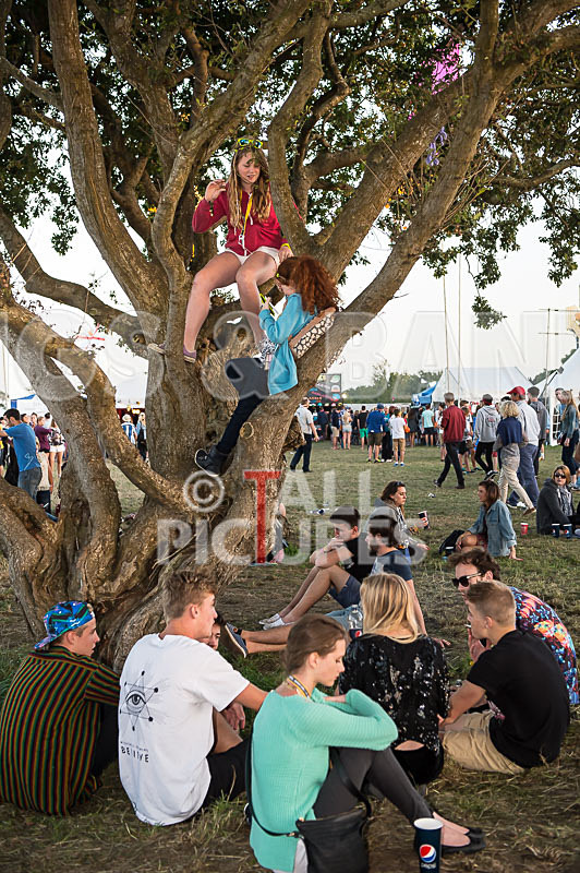 Jersey Live 2014_The Atmosphere-81 - JERSEY LIVE 2014_THE ATMOSPHERE_SUNDAY