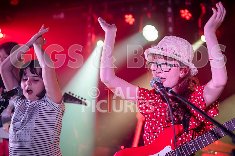 The Flaming Flamingos-2 - THE FLAMING FLAMINGOES