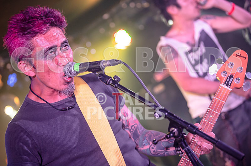 Morllyheads-2 - MORLLYHEADS