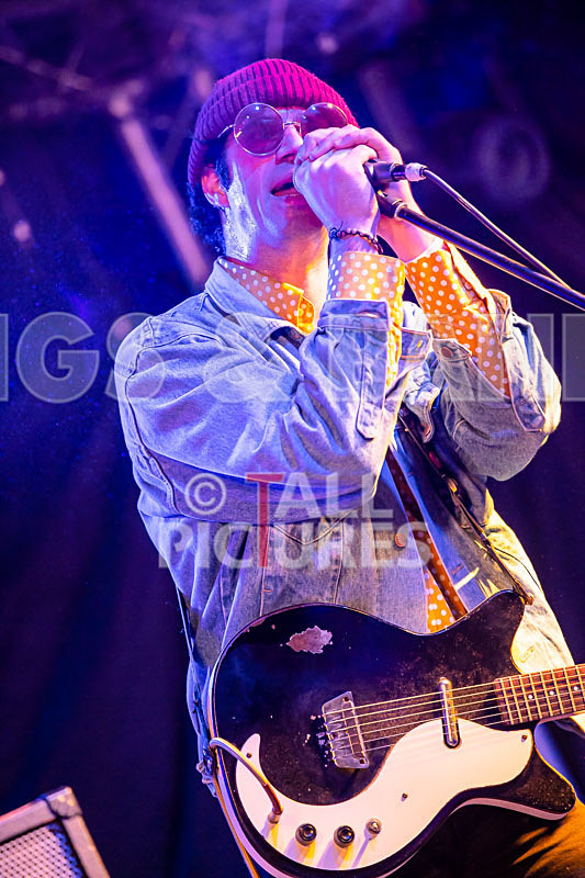 Surfin Birds-66 - SURFIN' BIRDS