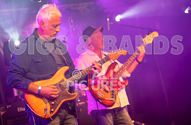 The Vinyls-7 - THE VINYLS