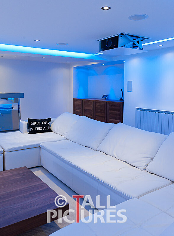 Basement Leisure Area-8 - THE ULTIMATE BASEMENT LEISURE SUITE