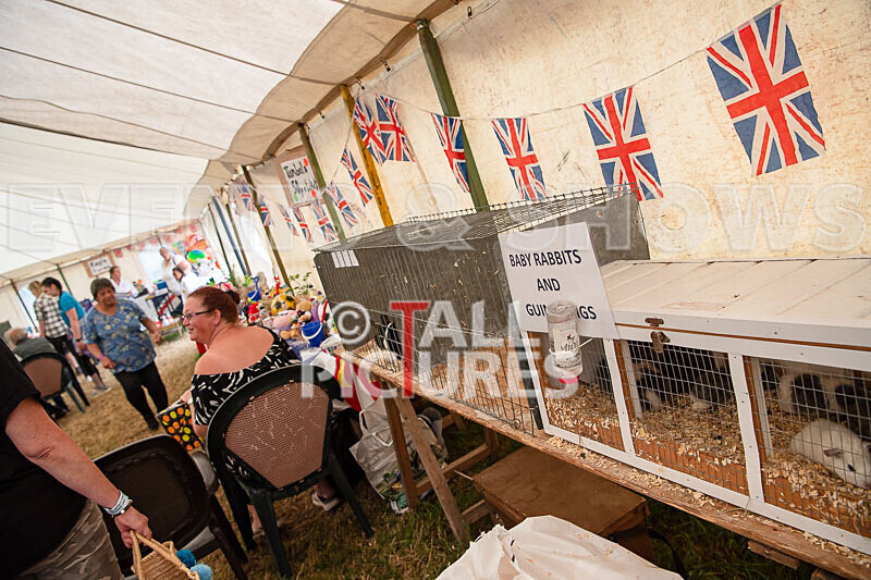 Guernsey Agricultural Show 2021-147 - GUERNSEY AGRICULTURAL SHOW 2021