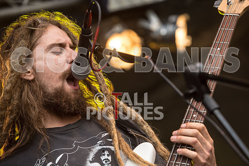 Vale Earth Fair 2015-2 - VALE EARTH FAIR 2015 - THE PRESS EDIT