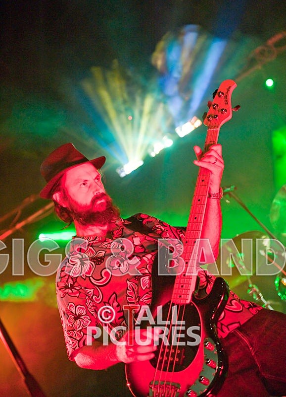 Peppered Ant Legs-27 - PEPPERED ANT LEGS at RoA-3