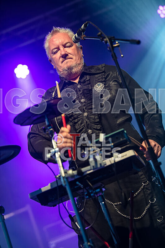 Fade2Grey-413 - FADE2GREY