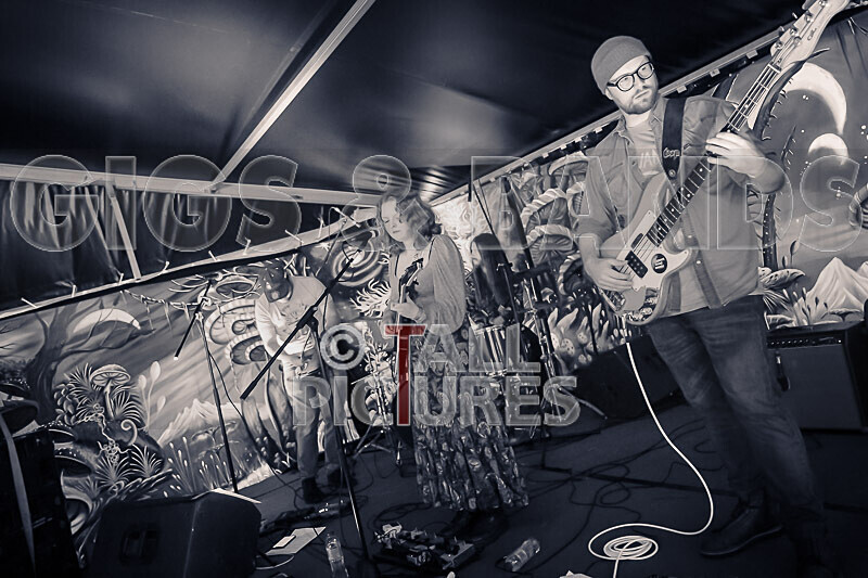 Kiya Ashton and the Folkadelics-4 - KIYA ASHTON AND THE FOLKADELICS