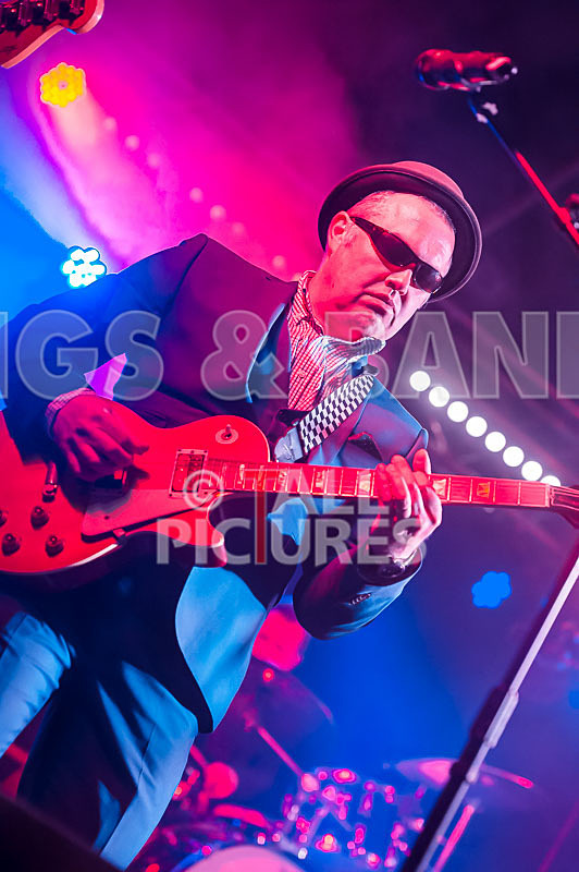 Sons of the Desert-250 - SONS OF THE DESERT