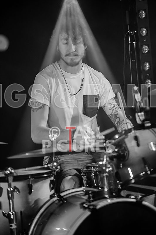 To the Woods-95 - TO THE WOODS