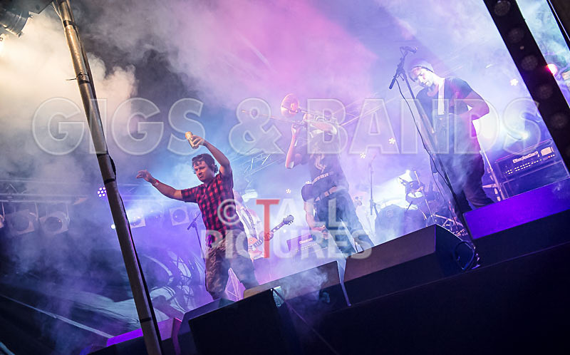 Pirate Party Brigade-15 - PIRATE PARTY BRIGADE