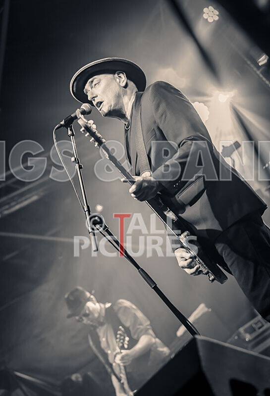 Ruts DC-59 - RUTS DC