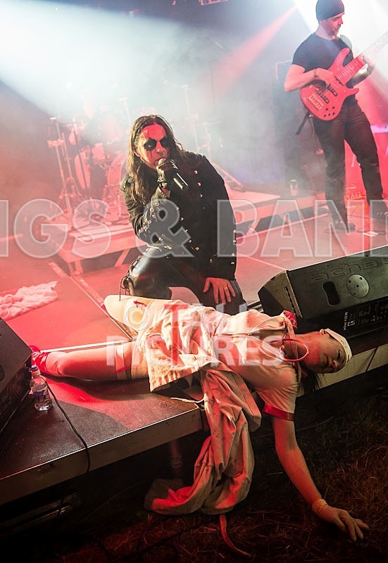 Gallus Cooper-43 - GALLUS COOPER