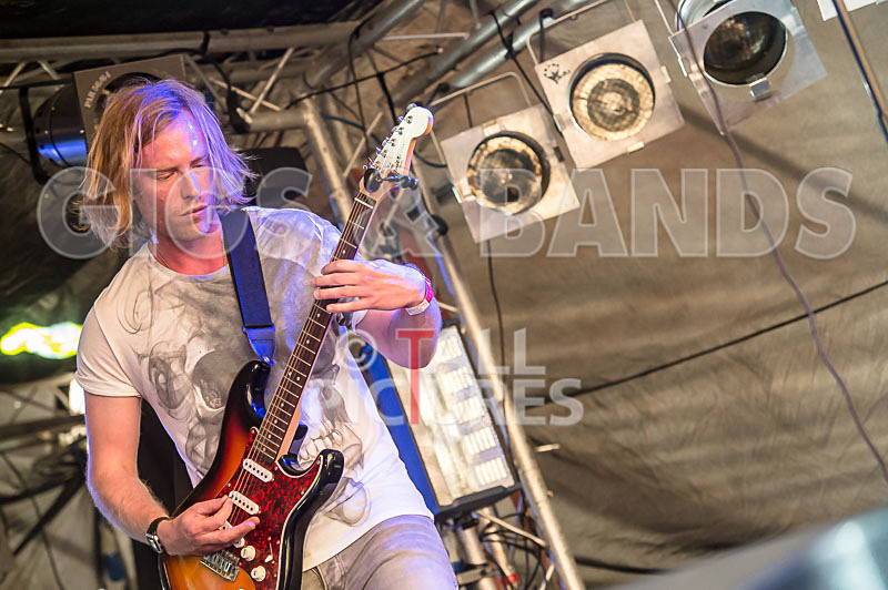 Near Bliss-1 - NEAR BLISS