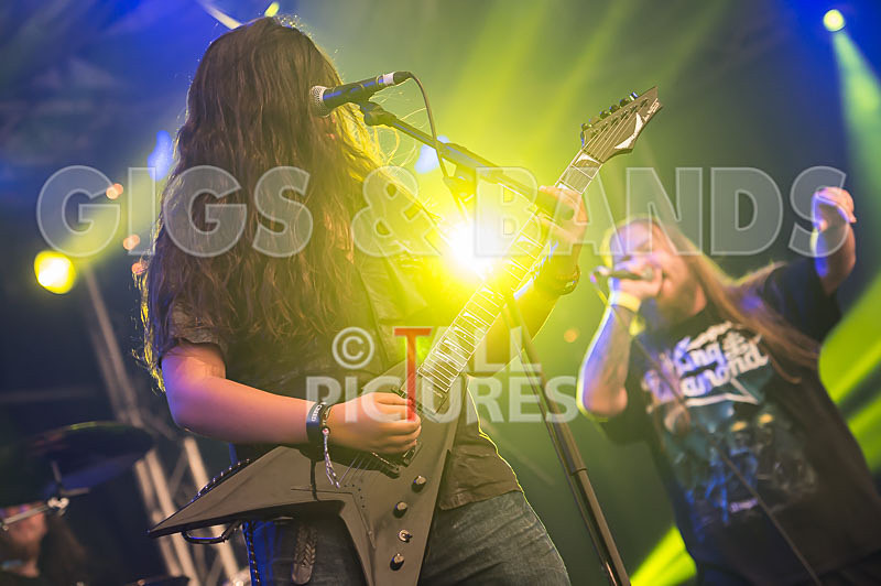 Stone Em All-234 - STONE EM ALL