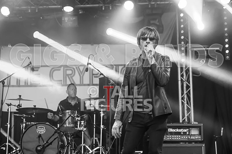 The Cryptics-81 - THE CRYPTICS