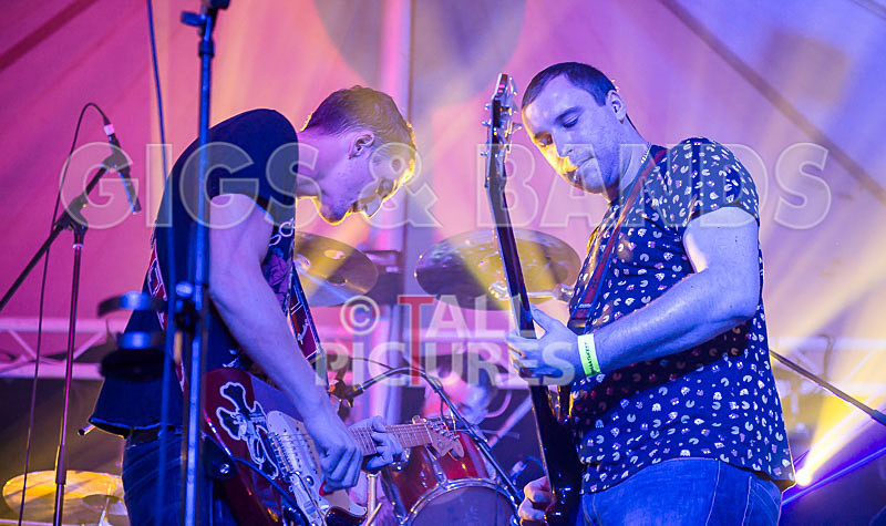 Subversion-36 - SUBVERSION