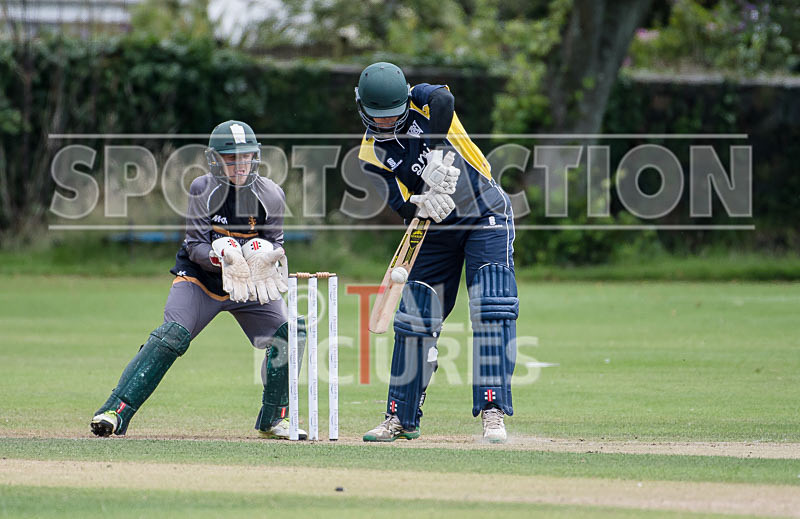 Cricket_Wanderers vs Griffins-2 - WANDERERS vs GRIFFINS