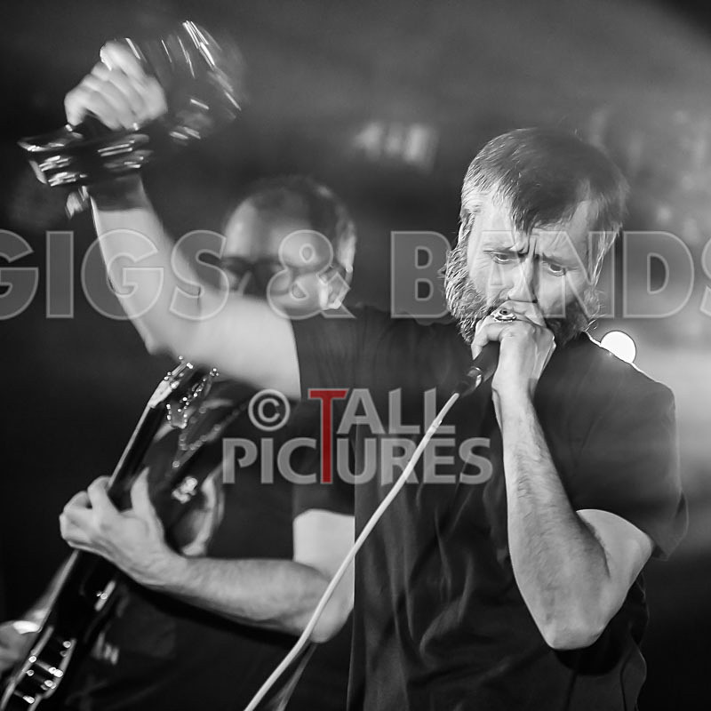Thee Jenerators-371 - THEE JENERATORS