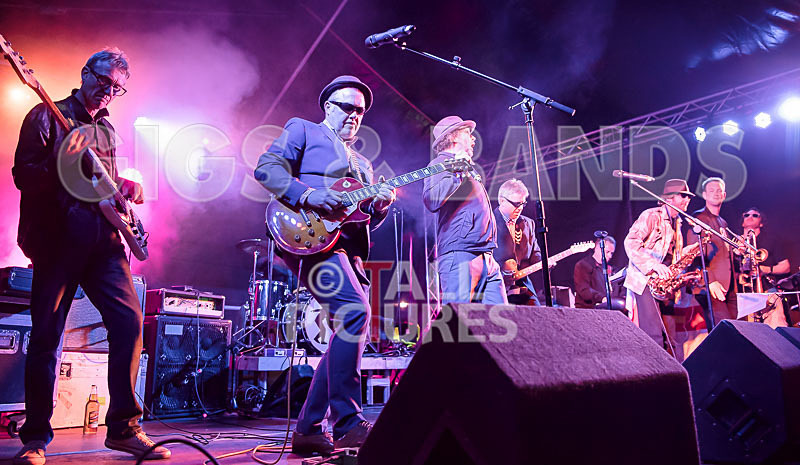 Sons of the Desert-265 - SONS OF THE DESERT