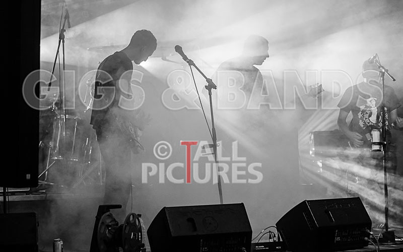 Subversion-50 - SUBVERSION