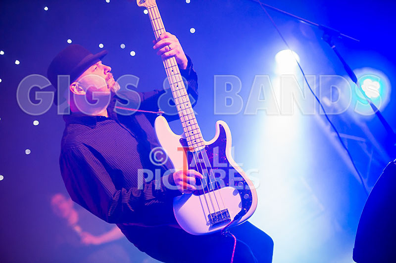 Peppered Ant Legs-177 - PEPPERED ANT LEGS