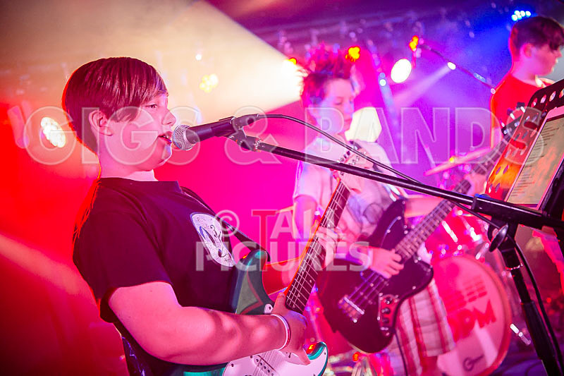 The Minorities-15 - THE MINORITIES