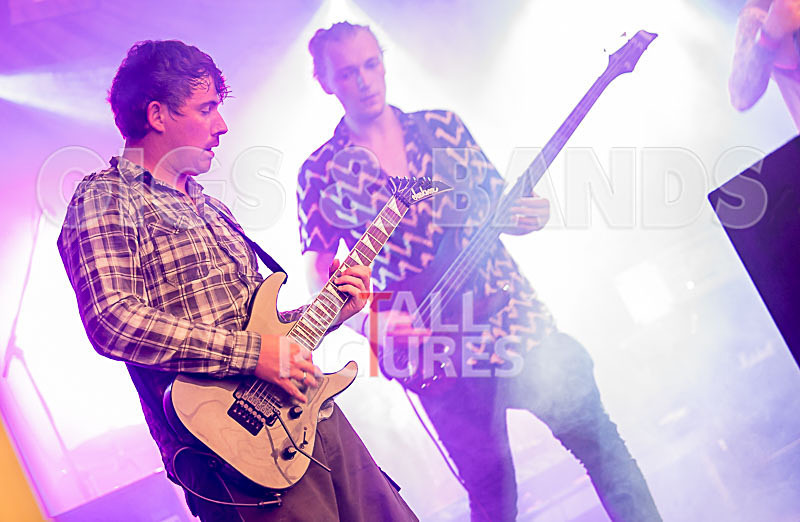 Granite Wolf-12 - GRANITE WOLF