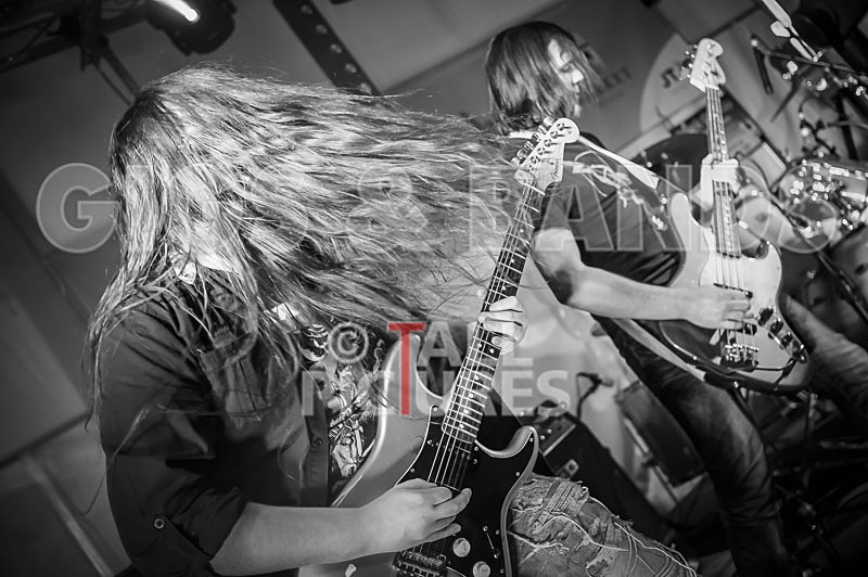 Stone Em All-384 - STONE EM ALL