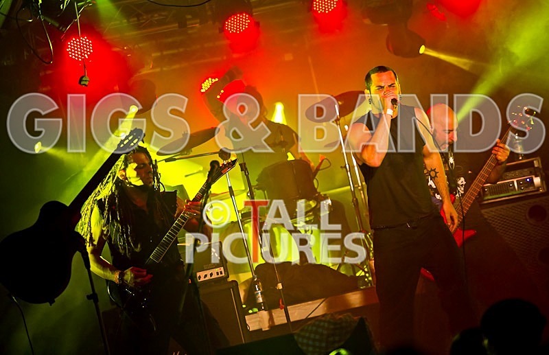 Breed77-16 - BREED77