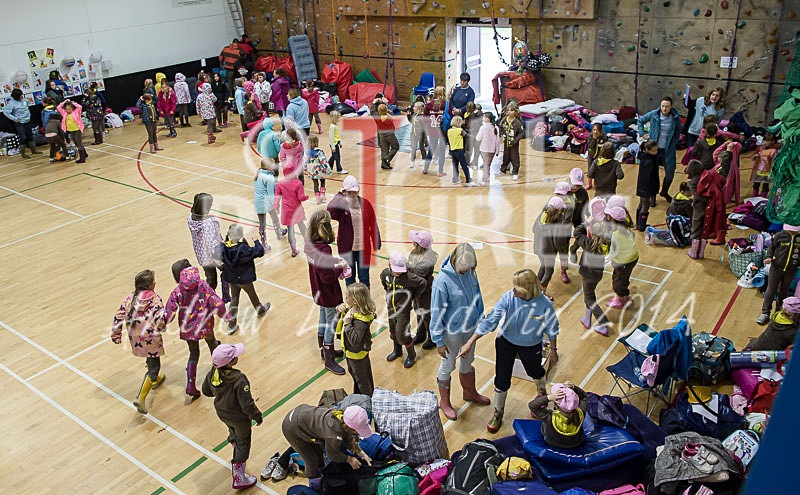 Big Brownie Birthday Party-40 - BROWNIE CENTENARY BROWNIE SLEEPOVER