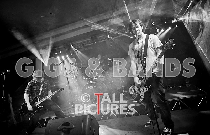 United Snakes-24 - UNITED SNAKES at RoA-7