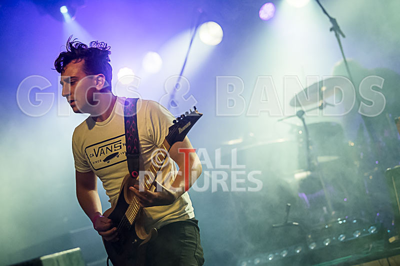 Granite Wolf-15 - GRANITE WOLF