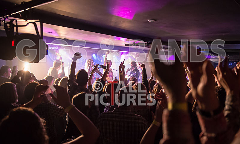 Buffalo Huddleston-108 - BUFFALO HUDDLESTON