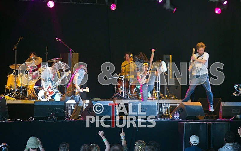 The Go Team-57 - THE GO! TEAM