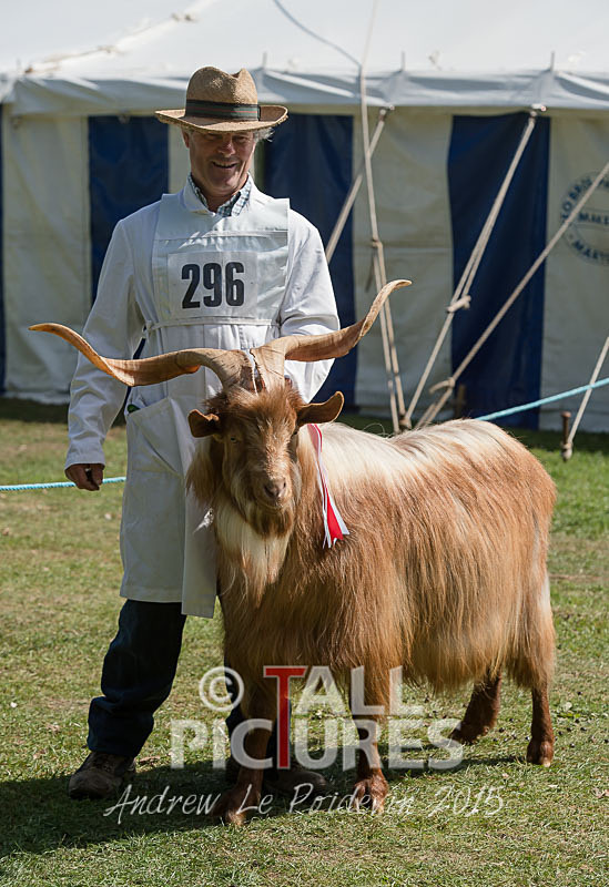 North Show_2014-12 - NORTH SHOW 2014