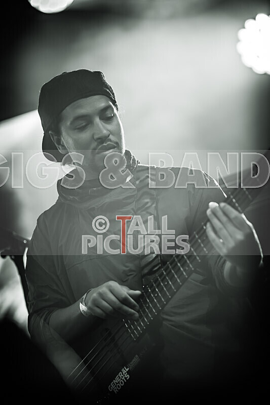 Hollie Cook-10 - HOLLIE COOK