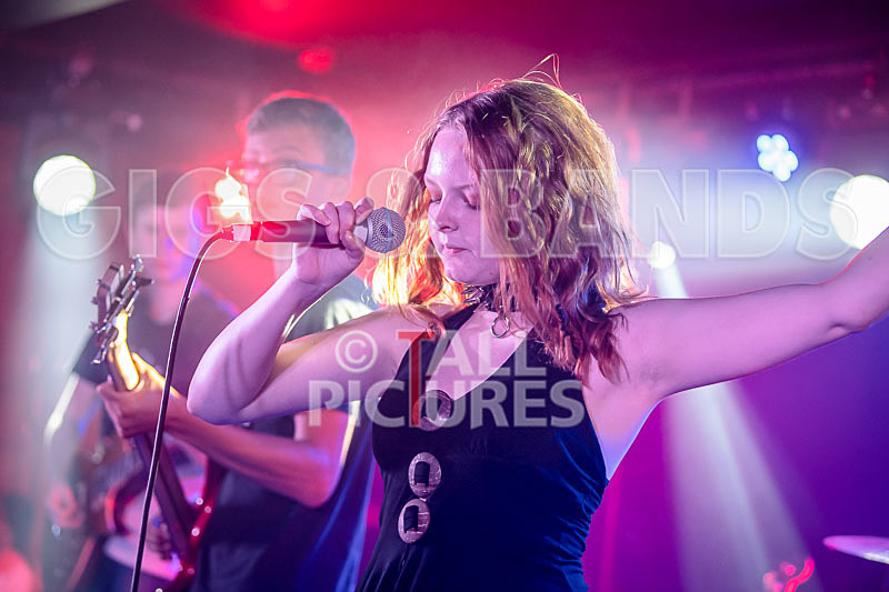 Unconventional Sponge-26 - UNCONVENTIONAL SPONGE