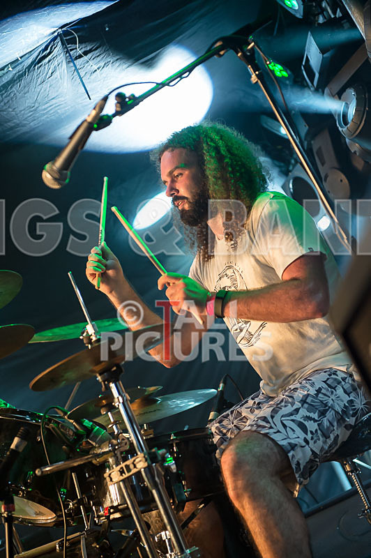 Demise of Sanity-109 - DEMISE OF SANITY