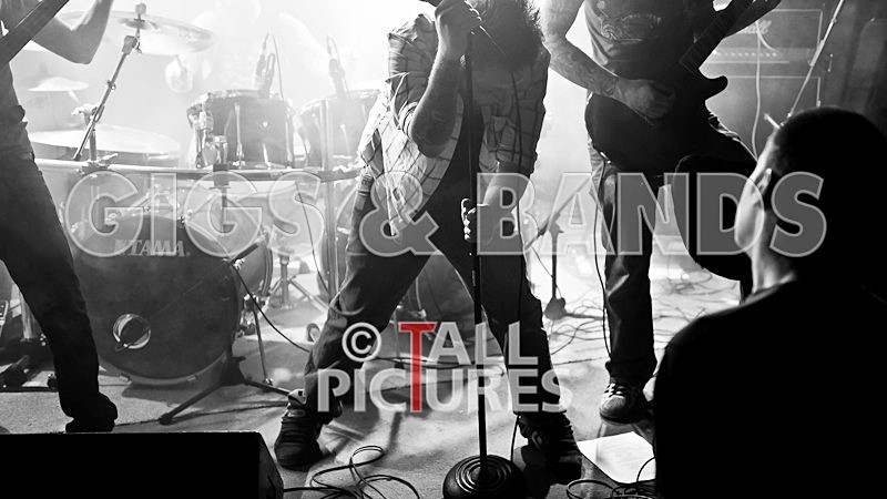 Brutus Stonefist-267 - BRUTUS STONEFIST