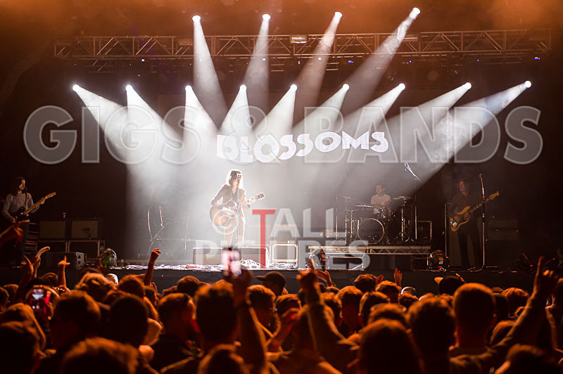 Blossoms-31 - BLOSSOMS