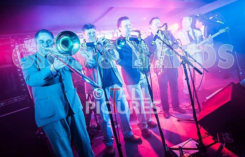 The Pulse-41 - THE PULSE