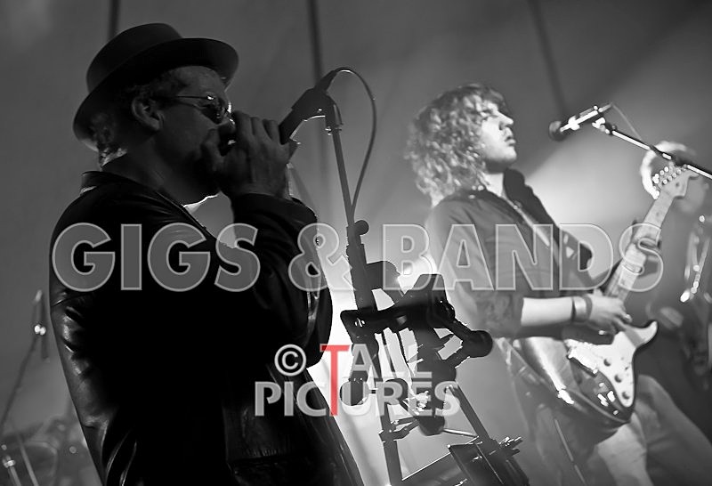 Greenman_Music-101 - GREENMAN CHAOS FESTIVAL 2008 BANDS