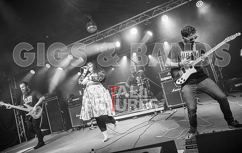 Static Alice-753 - STATIC ALICE