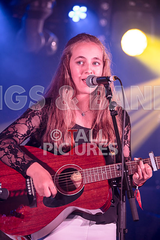 Lady and the Tramps-10 - LADY AND THE TRAMPS