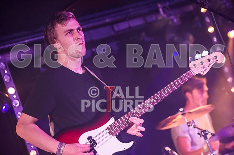 China Aster-105 - CHINA ASTER