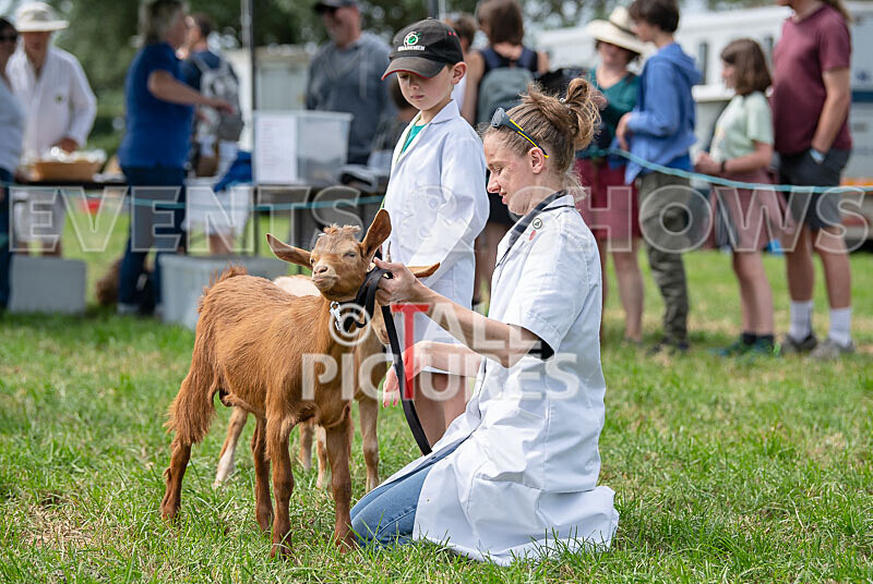 Guernsey Agricultural Show 2021-70 - GUERNSEY AGRICULTURAL SHOW 2021